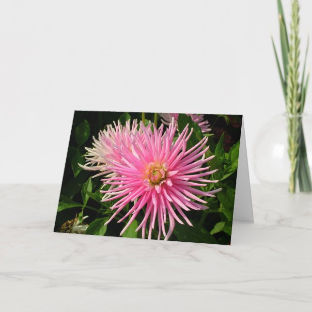 Pink Dahlias Card (Front)