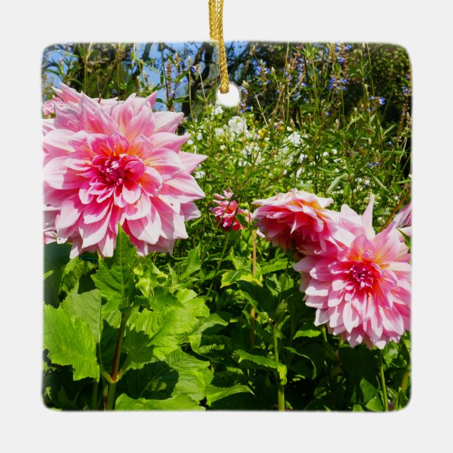 Pink Dahlias (Otto's Thrill) Ceramic Ornament (Front)
