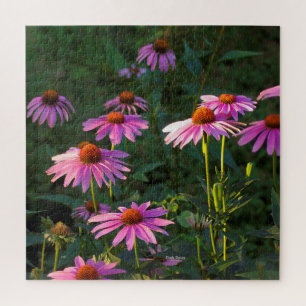 Pink Daises Jigsaw Puzzle