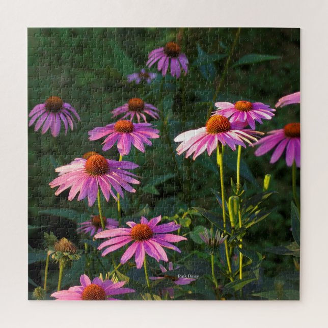 Pink Daises Jigsaw Puzzle (Vertical)