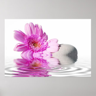 Pink daisie poster