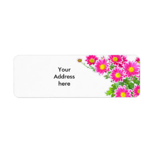 Pink Daisies / Asters Bouquet + your ideas