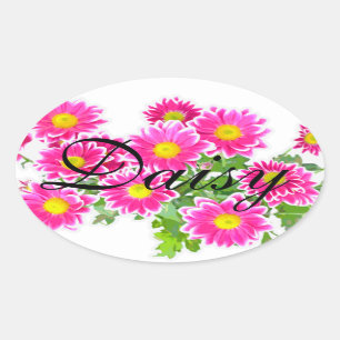 Pink Daisies / Asters Bouquet + your ideas Oval Sticker