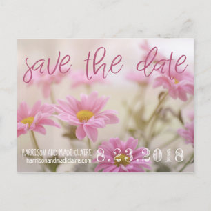 Pink Daisies Save The Date Card Romantic Flowers