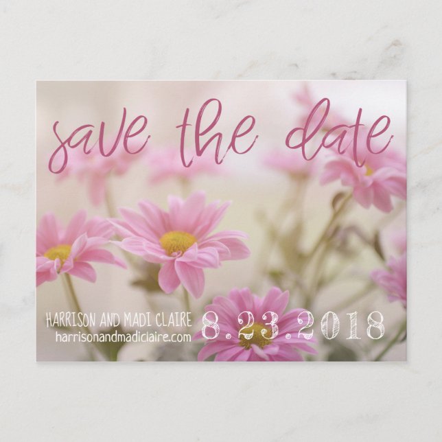 Pink Daisies Save The Date Card Romantic Flowers (Front)