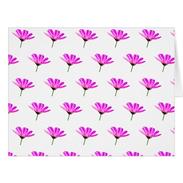 Pink Daisy   (Front Horizontal)
