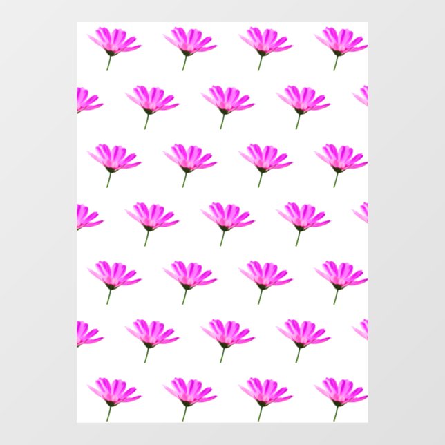Pink Daisy  (Sheet)