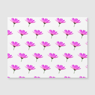 Pink Daisy