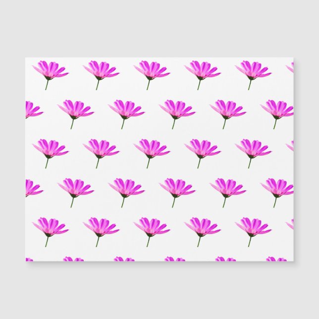 Pink Daisy (Front)