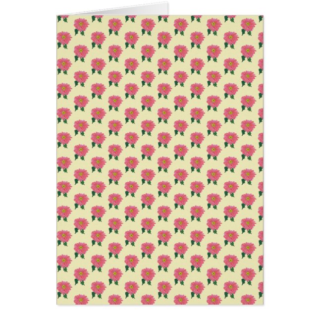 Pink Daisy, Blank (Front)