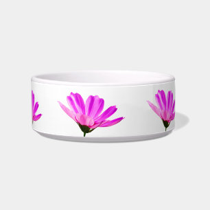 Pink Daisy  Bowl
