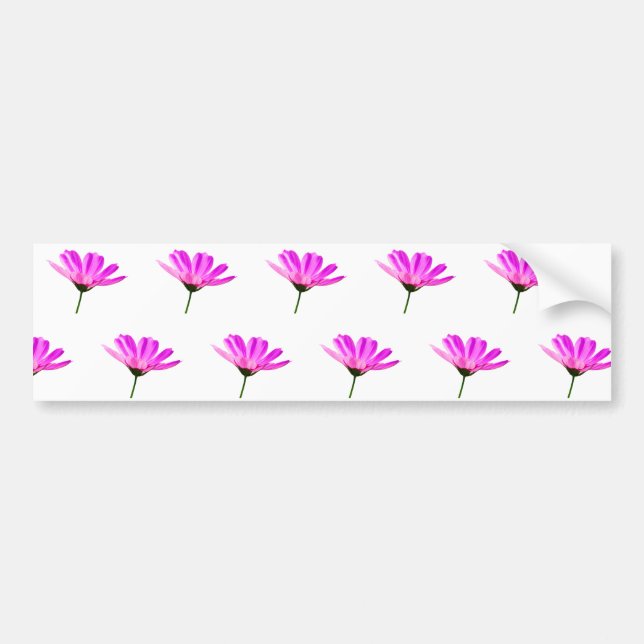 Pink Daisy  Bumper Sticker (Front)