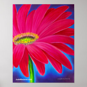 Pink Daisy Flower Art Giclee - Poster