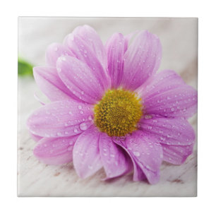 Pink Daisy Flower Ceramic Tile Coaster
