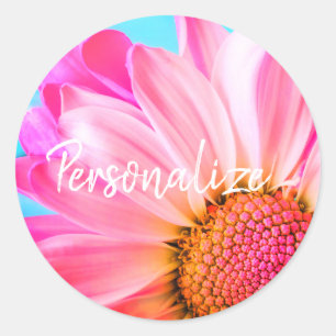 Pink daisy flower cute blue pink summer cute classic round sticker