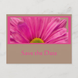 Pink Daisy Flower Save the Date Announcement Postcard