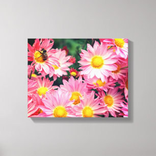 Pink Daisy Flowers And Bumble Bee  Canvas Print