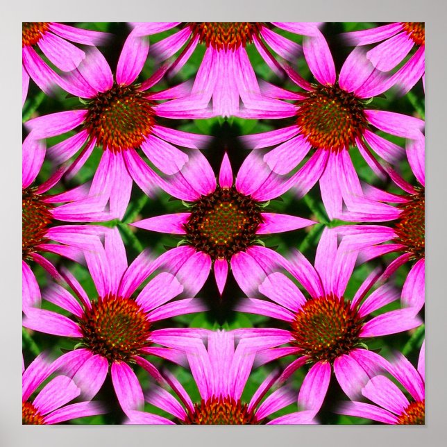 Pink Daisy Flowers Mirror Abstract  Poster (Front)