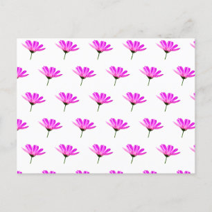 Pink Daisy Holiday Postcard