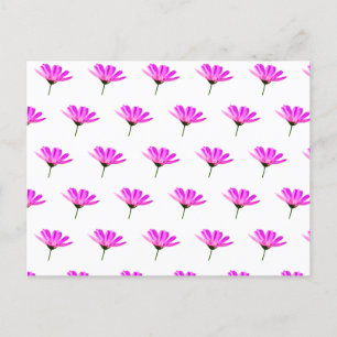 Pink Daisy  Holiday Postcard