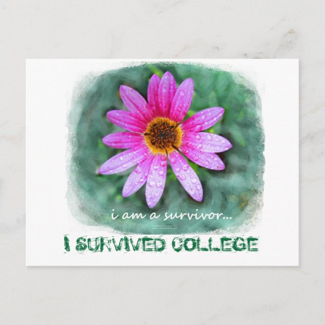 Pink Daisy I am a Survivor Postcard (Front)