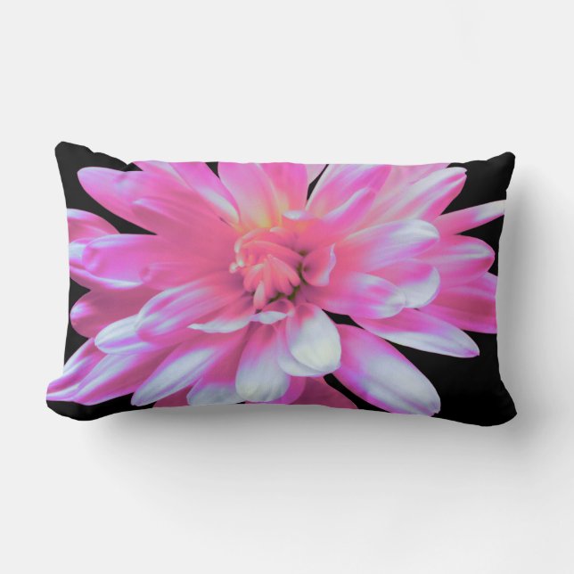 Pink daisy, lumbar cushion (Front)