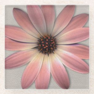 Pink Daisy - Mink Leather Texture Image Background Glass Coaster