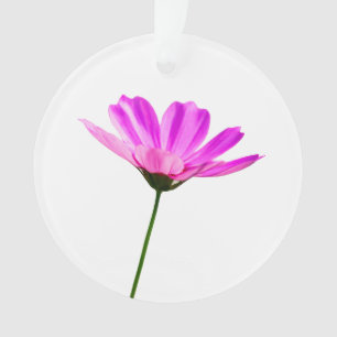 Pink Daisy  Ornament