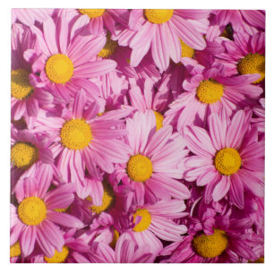 Pink daisy pattern tile