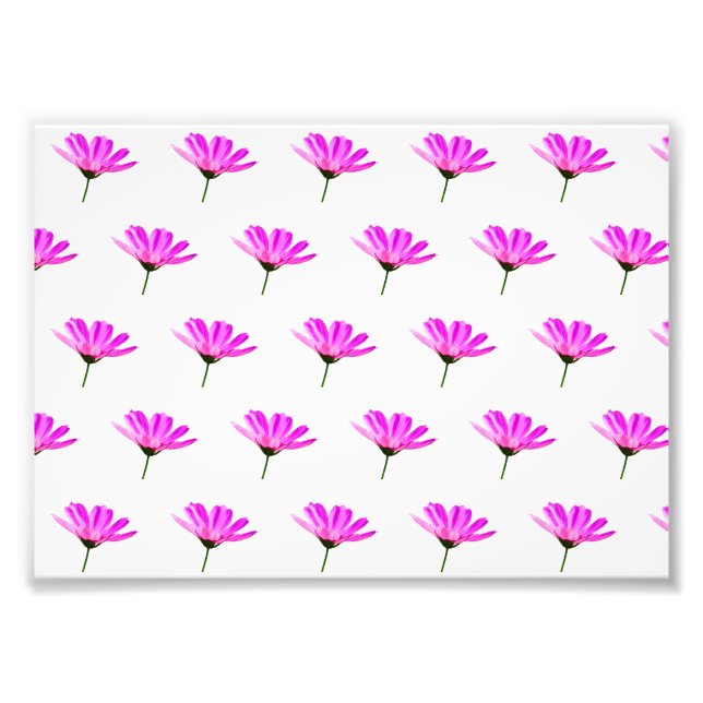 Pink Daisy   Photo Print (Front)