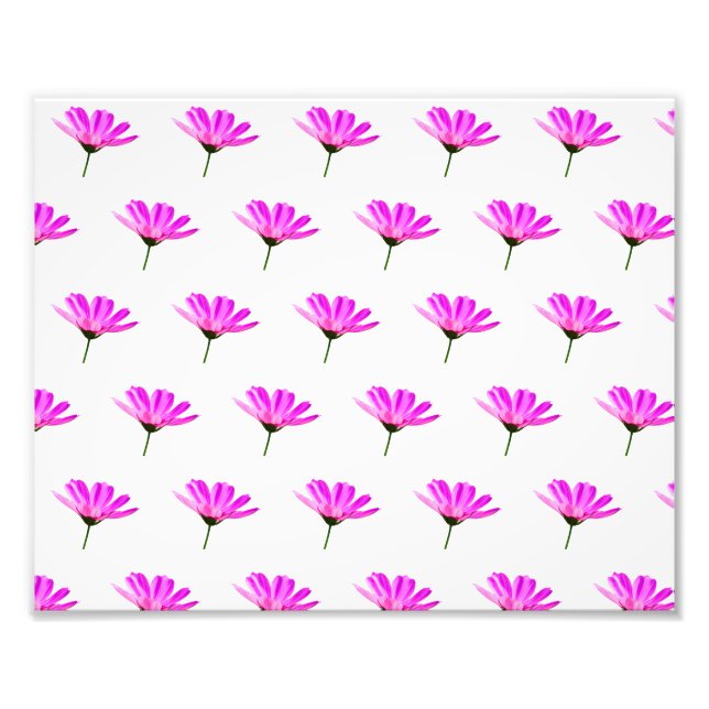 Pink Daisy   Photo Print (Front)