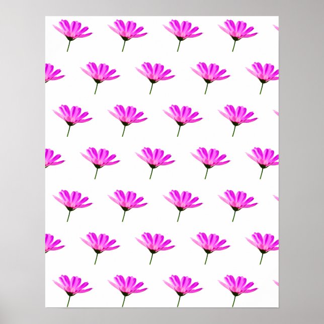 Pink Daisy   Poster (Front)