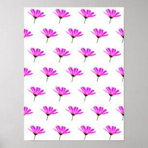 Pink Daisy  Poster