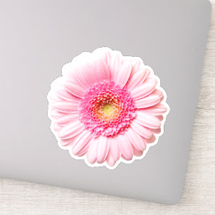 Pink Daisy Pretty Sticker