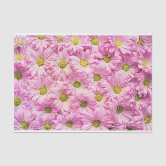 Pink Daisy Tissue Paper (Front)