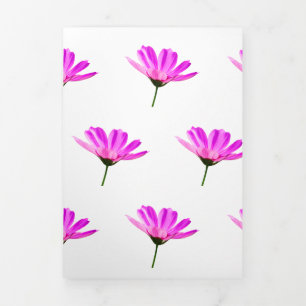 Pink Daisy  Tri-Fold Announcement