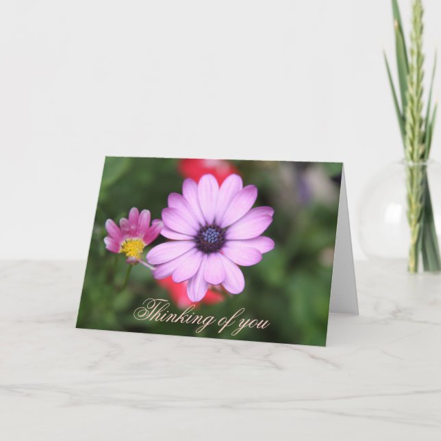 Pink daisy type flower card (Front)