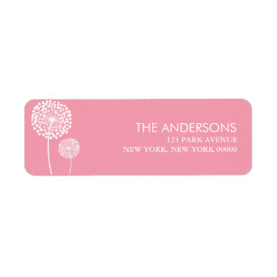 Pink Dandelions