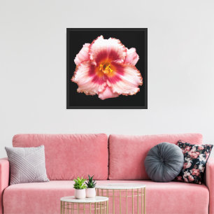 Pink Daylily Bloom on Black Floral Canvas Print