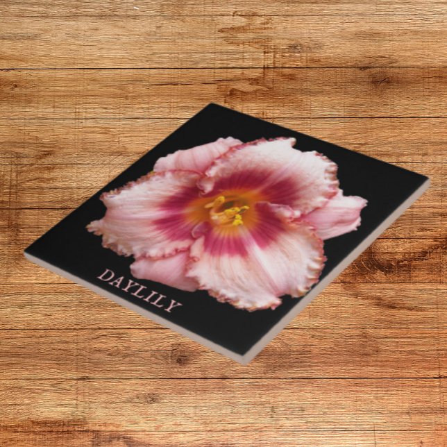 Pink Daylily Bloom on Black Floral Tile (In Situ)