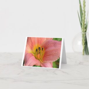 Pink Daylily Card