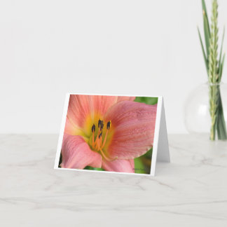 Pink Daylily Card