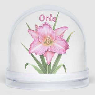Pink Daylily Flower Botanical Art Personalised Snowglobe