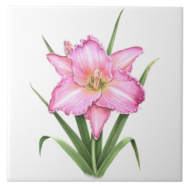 Pink Daylily Flower Botanical Art  Tile (Front)