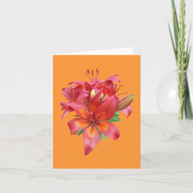 Pink Daylily Photo Folded Note Card (Front)