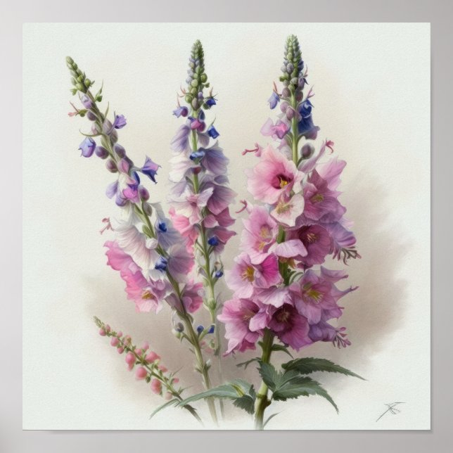 Pink Delphinium Flower Art Print Poster (Front)