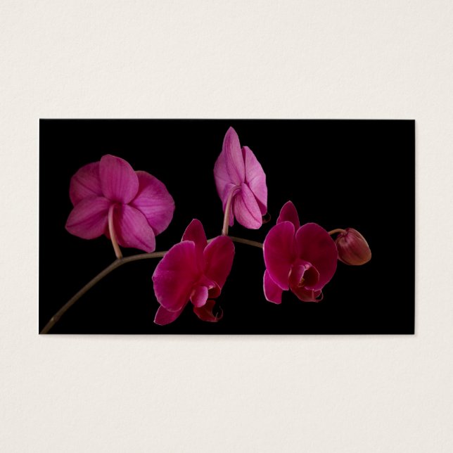 Pink Dendrobium Orchid on Black - Customised (Front)