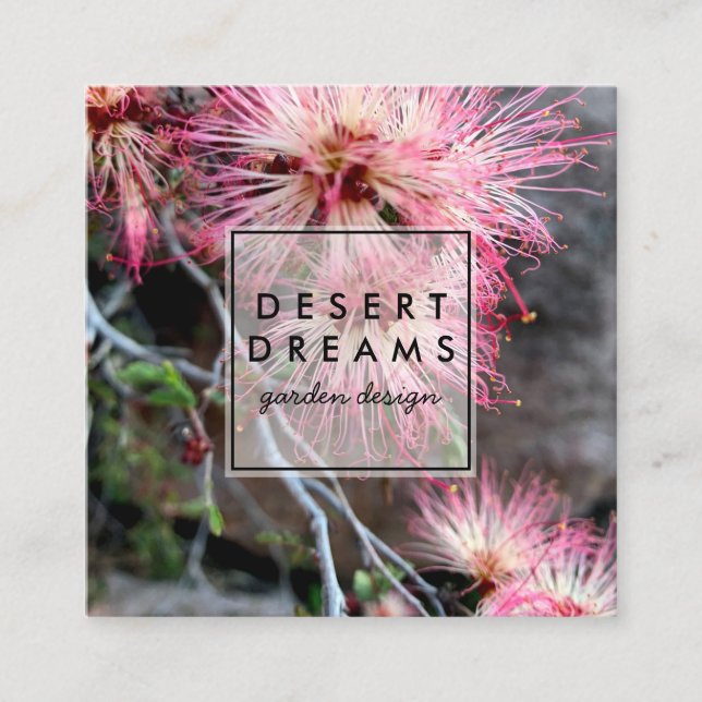 Pink Desert Fairy Duster Wildflower Photo Travel  Square Business Card (Front)