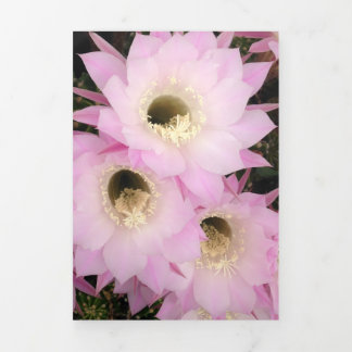 Pink desert petals  Tri-Fold card