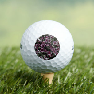 PINK DIANTHUS FLOWERS GOLF BALLS